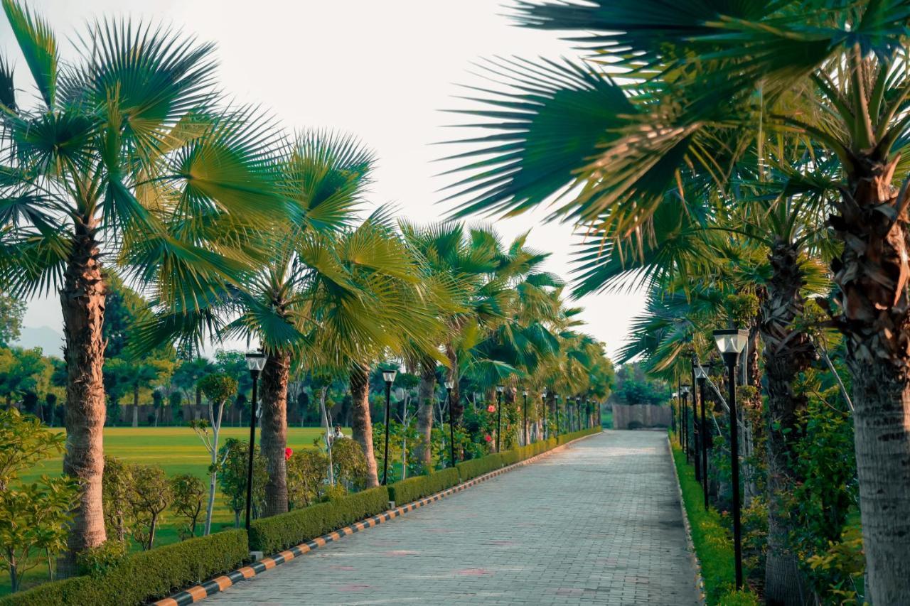 Sādri Pride Resort & Convention Center Ranakpur Near Ranakpur Dam מראה חיצוני תמונה
